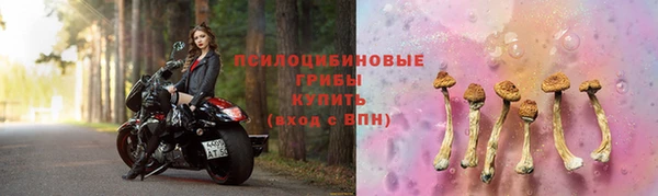 ECSTASY Верея