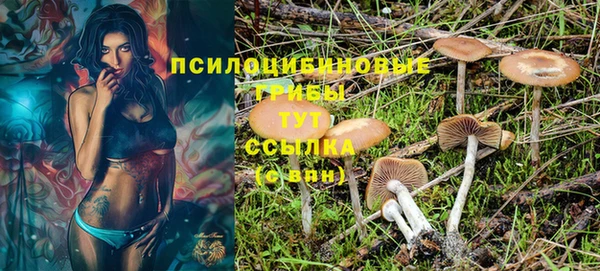 ECSTASY Верея