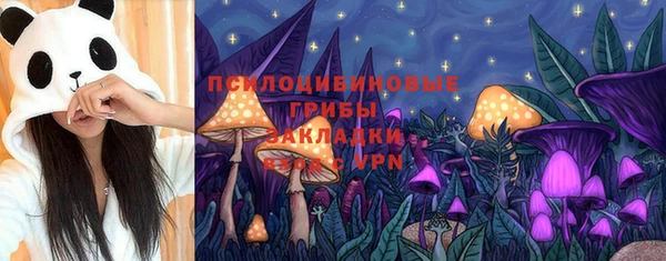 соль ск Верхнеуральск